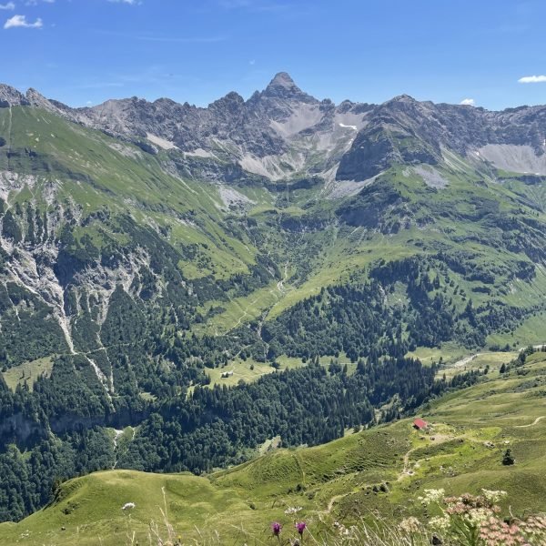 Bad Hindelang_Ostrachtal mit Hochvogel