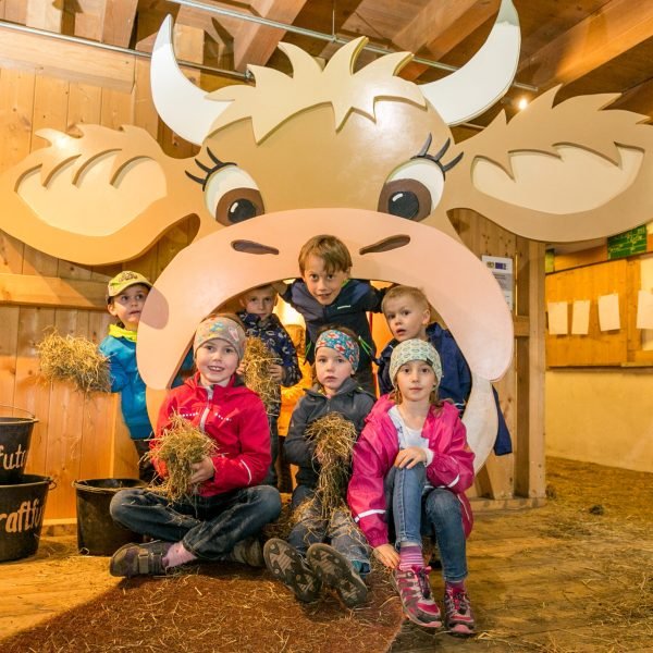 Bergbauern_Kuhmagen005