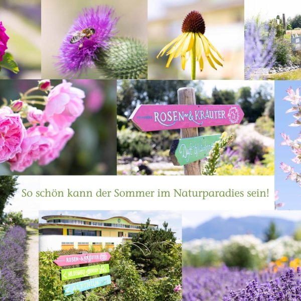 PRIMAVERA_Sommer