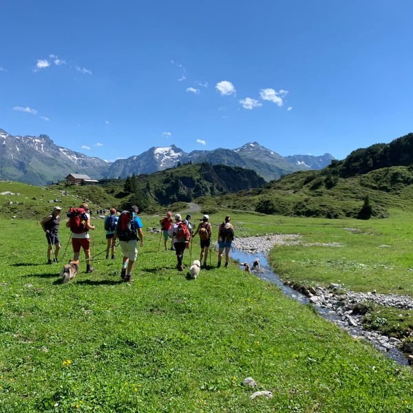 besteaussichten