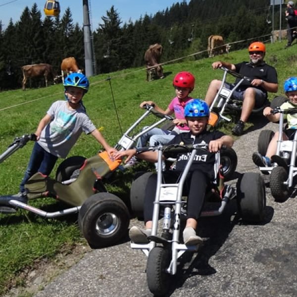 hörnerbahn cart