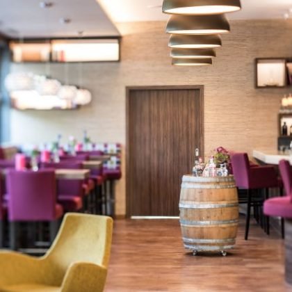 hotelpeterhof-newstyle-1stof8-029-5594530b