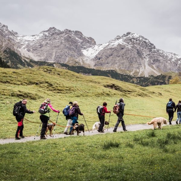 hundewanderung-fiederepasshutte011