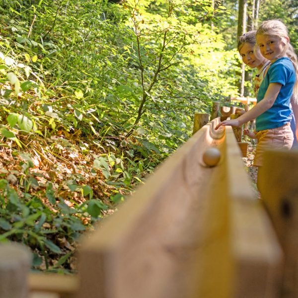 wildchildslovebirds_SKYWALK_Juni23-52_aufgehellt